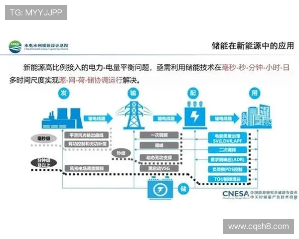 全面解析跳水运动技术魅力与全球竞技发展趋势深度探讨全方位解读 全面解析跳水运动技术魅力与全球竞技发展趋势深度探讨全方位解读