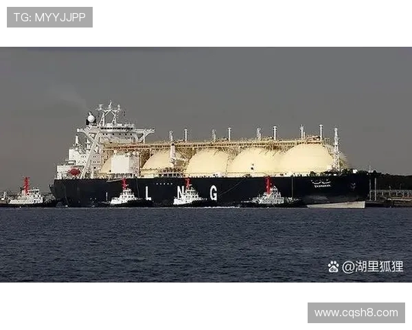 LNG在世界冠军杯中的技术表现分析与点评探讨