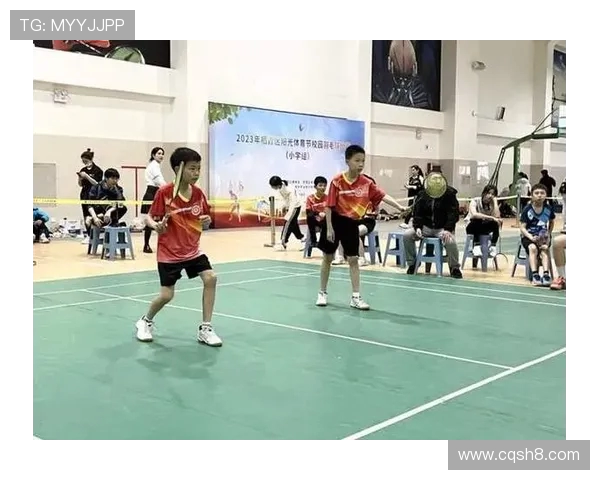 南京羽毛球队在全国羽毛球比赛经验排行榜中荣获第四名的荣耀之路