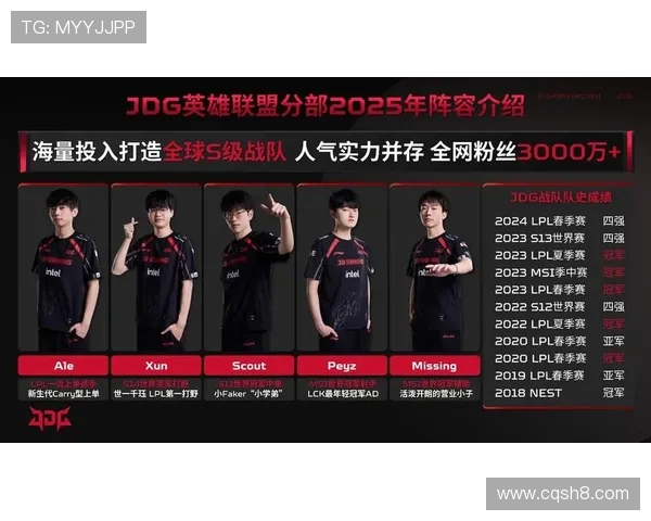 英雄联盟专题深度解析JDG战队团队协作的成功秘诀与战术配合