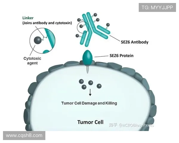 ViperADC:突破性ADC技术探索