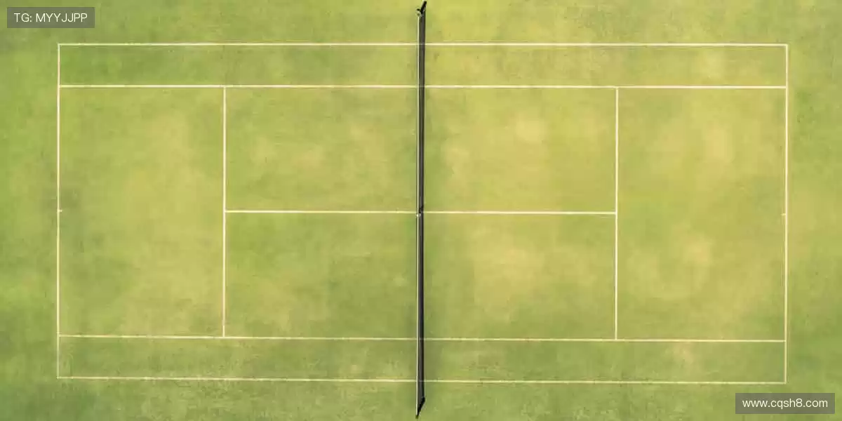 👕限量潮品，实力见证！用细节诠释你对体育的极致追求！